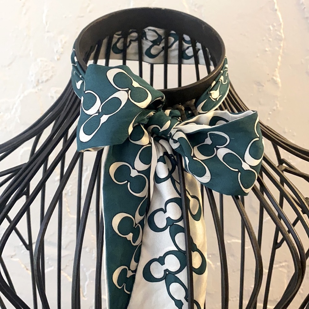 COPY - Coach scarf